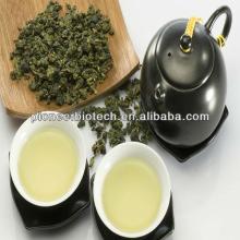 100% Natural Organic  Oolong   Tea   Extract  Powder form ISO GMP HACCP Certified Manufacture