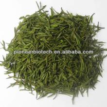 100%  natural   White   Tea  Extract powder in bulk stock