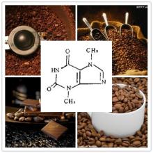 Favorable price best quality cocoa extract theobromine in bulk supply at Theobromine manufacturer