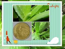 High quality aloin aloe vera extract with low price bulk in supply CAS NO 5133-19-7