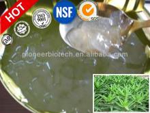 Factory  bulk  wholesale  aloe   vera   gel  best price