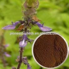 Favorable price best quality Coleus Forskohlii Extract powder in bulk supply