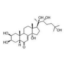 Natural organic bestselling plant extract ecdysterone in bulk stock