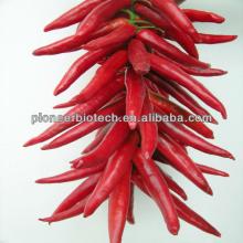 Factory wholesale pure capsaicin best price