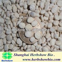  Ginseng  Seeds for Cultivating wiht High Germination