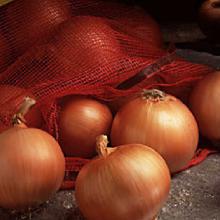 Fresh Onion