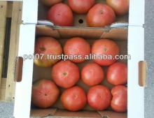 Pink Flesh Tomatoes