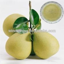 Pear Puree/Pulp/Paste/Sauce 210kg
