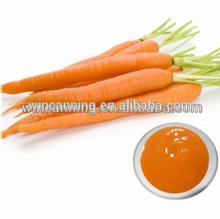 Carrot Puree/Pulp/Paste/Sauce 210kg