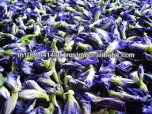 Dried Violet Butterfly Pea Flower Tea for Sale