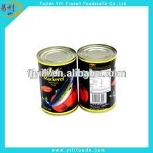 Geisha  canned   mackerel  in  hot   tomato  sauce from fish factory