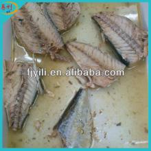  Best   canned   mackerel  in brine from  canned  food wholesale