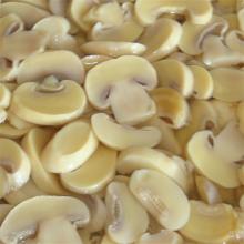 Wholesale canned mushroom canned mushroom sliced