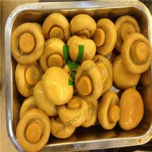 Food product canned button  mushroom   tin  can