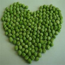 Canned food health food canned green pea