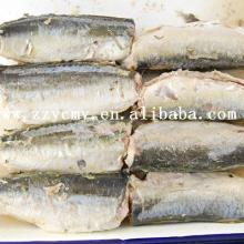 Canned sardine products in canned seafood tin can in oil