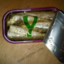 Canned sardine importers canned sardine in canned seafood in oil for Indonesia