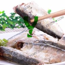 Food distributors canned sardine in vegetable oil ready to eat
