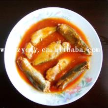 Chinese food wholesale  import   canned   sardines  easy open end tomato sauce