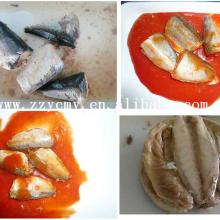 Canned sardine importers best canned sardines Philippines