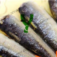 Chinese food wholesale canned seafood sardine with  vegetable   oil 