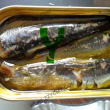 Wholesale HALAL meat names of fish best canned sardine brands in oil