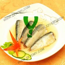 Canned food in fish fresh sardines online with OEM allowed in oil