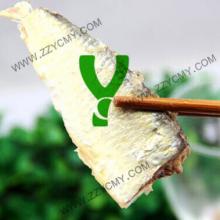 Products you can import from China canned sardine tin can in oil
