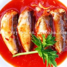 Types of seafoods name canned sardine in tomato sauce tin can