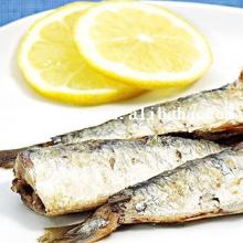 HALAL food fresh fish on  line  canned sardine oil with price