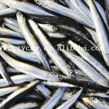 Ingredient canned sardine fish tin cans for canning with OEM in oil