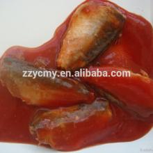 Canned mackerel in tomato sauce company  export   fish 