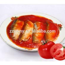 canned sardine in tomato sauce company export fish