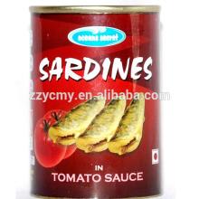 best canned sardine recipes in tomato sauce reliance fresh