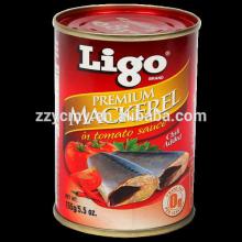 canned jack mackerel in tomato sauce
