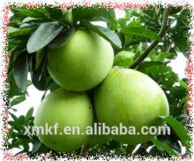 2014 fujian honey pomelo grapefruit