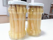 Canned White Asparagus 212