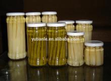 Best 250g Canned Asparagus