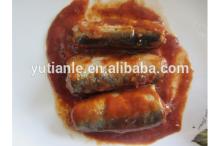 425g canned sardine from morocco