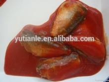 Best Price Canned Mackerel in Tomato Sauce For African Market