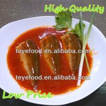 Canned Mackerel in Tomato Sauce with best mackerel