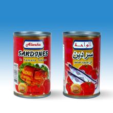 Sardine in tomato sauce