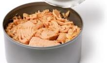 Albacore canned Tuna in Oil