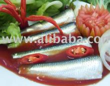 Canned Sardine In Vegetable Oil, Tomato Sauce, Chili Sauce