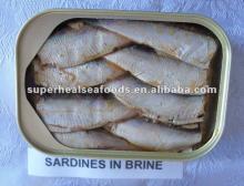 Canned Sardines
