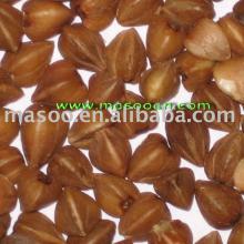Roasted buckwheat kernel.