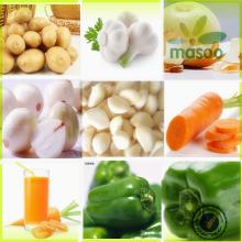 dutch fresh potato 100-200g price for export