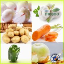 certified dutch fresh potato 100-200g price for export
