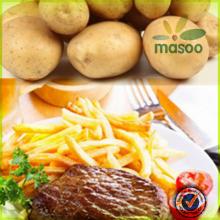 certified fresh sweet  holland   seed   potato  for export