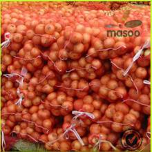 fresh yellow onion bags for sale